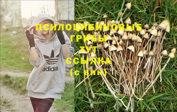 кокс Баксан