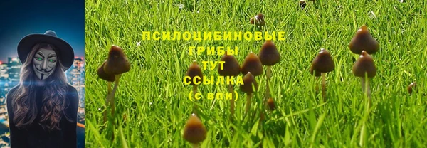гашишное масло Белокуриха