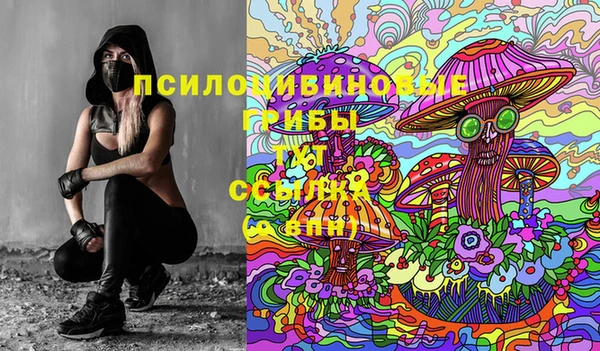 соль ск Балабаново