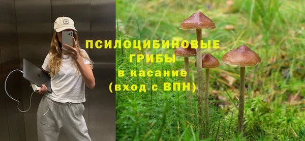 кокс Баксан