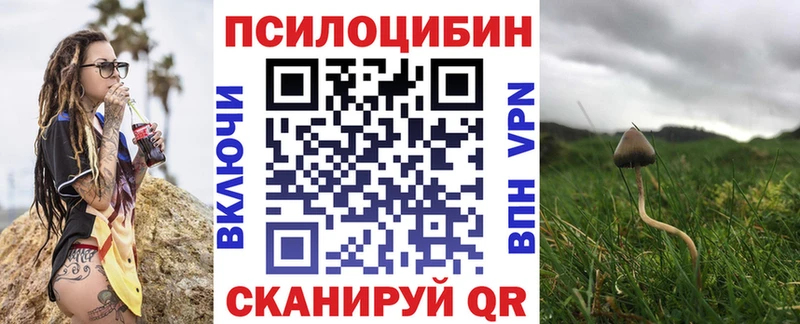 Псилоцибиновые грибы Psilocybe  Чайковский 
