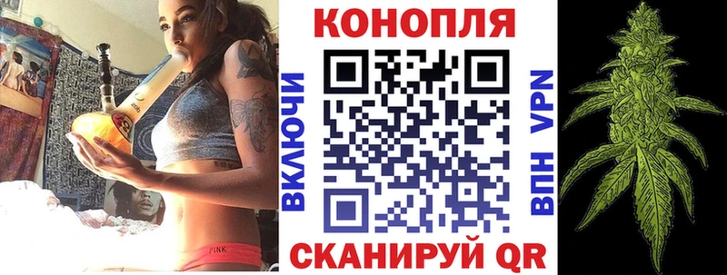 Конопля индика  Чайковский 